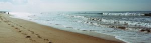 beach